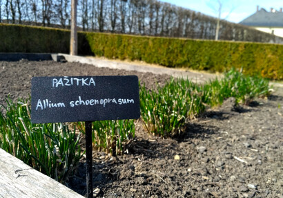 Bylinková zahrada v Kuksu