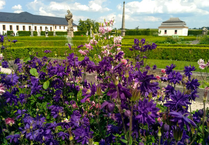 Bylinková zahrada v Kuksu
